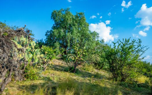 Lote Marroquín de abajo