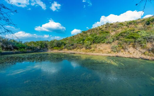 Lote Marroquín de abajo