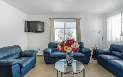 Puente Mediterráneo